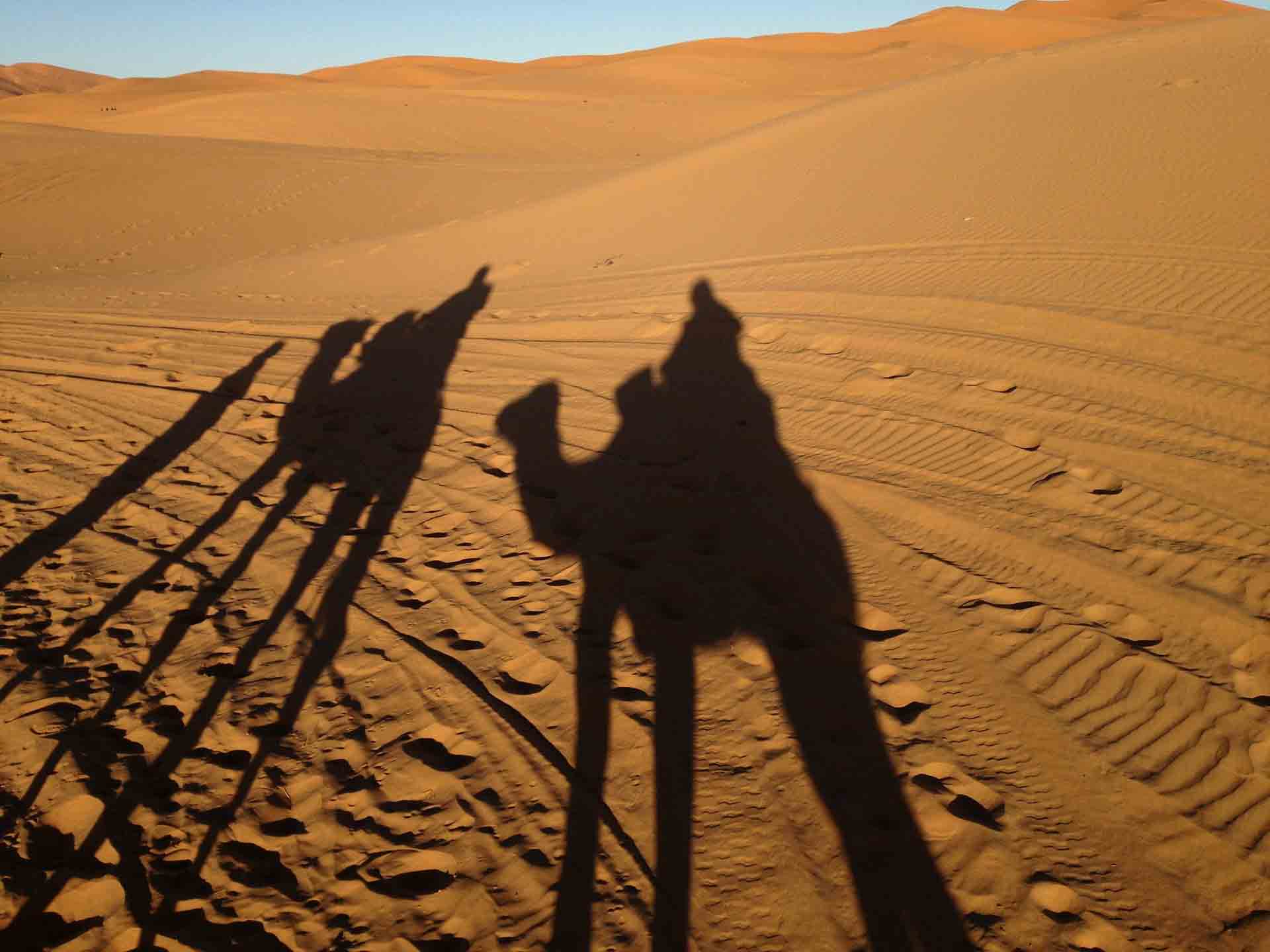 camel ride in the desert